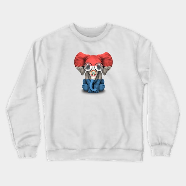 Baby Elephant with Glasses and Paraguay Flag Crewneck Sweatshirt by jeffbartels